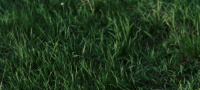 hero-slider-img-3